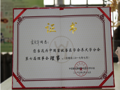 荣誉证书