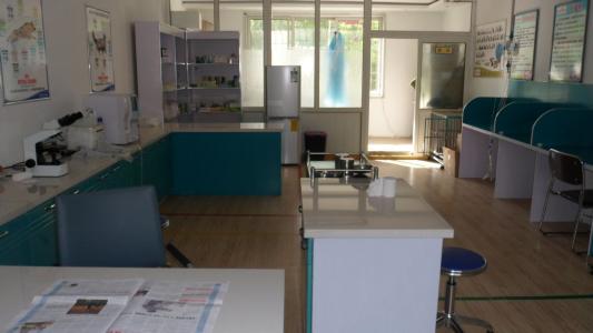 体内寄生虫对狗狗的