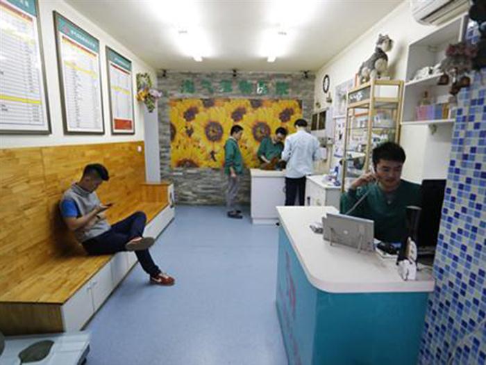 家里养动物一定要常