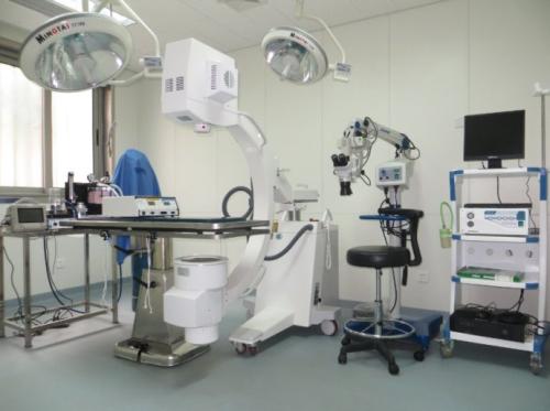 华安动物医院|如何