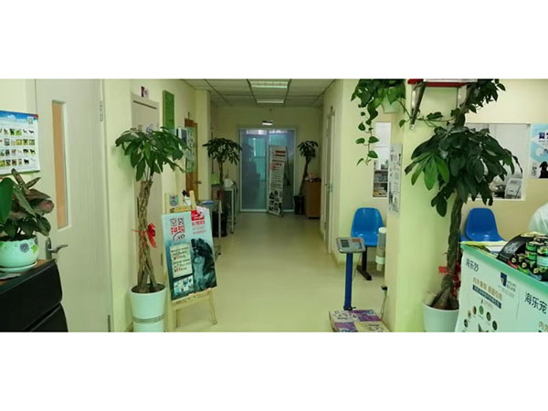 烟台动物医院 烟台动物医院电话 烟台动物医院哪家好