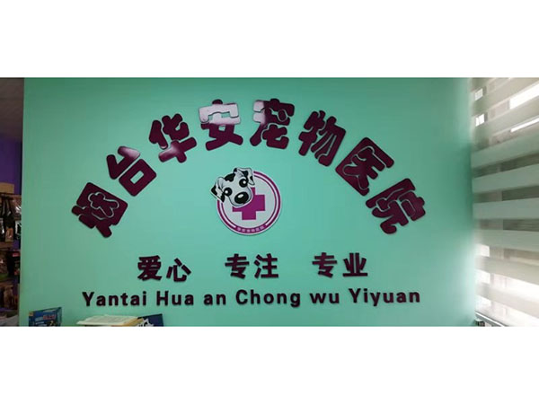 烟台动物医院 烟台动物医院电话 烟台动物医院哪家好