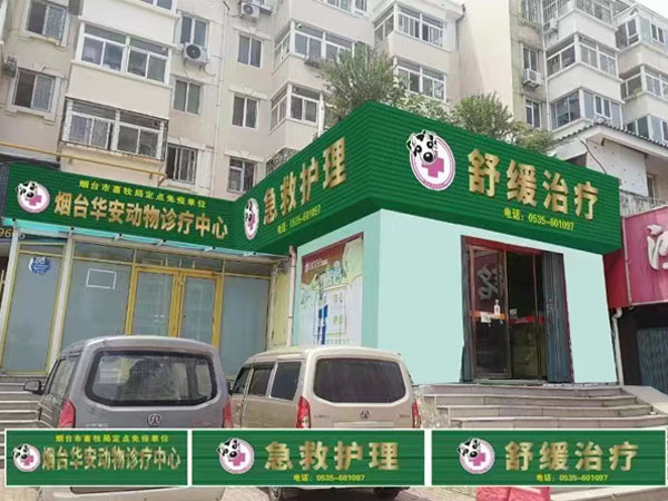 烟台动物医院 烟台动物医院电话 烟台哪有动物医院
